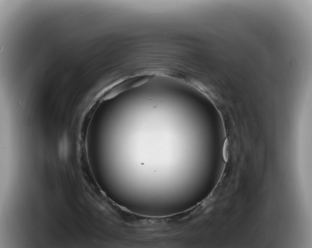 X0000086260338200704051307