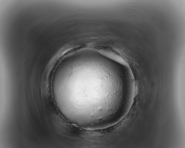 X0000086260339200704051307