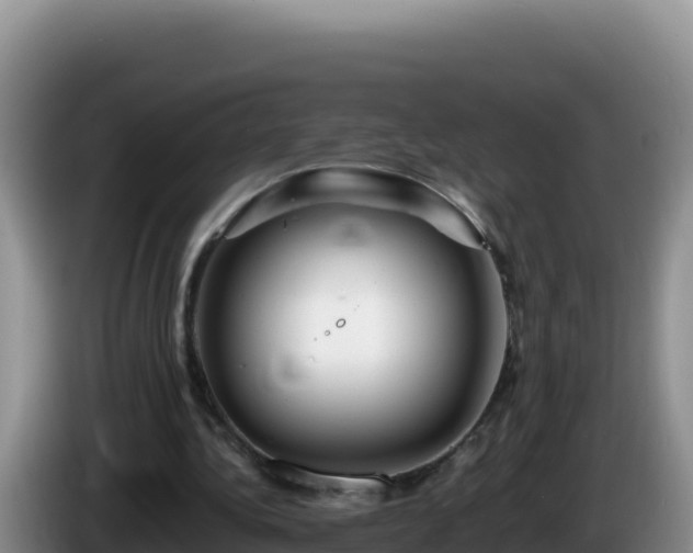 X0000086260340200704051307