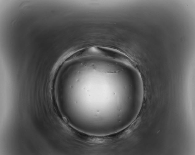 X0000086260341200704051307