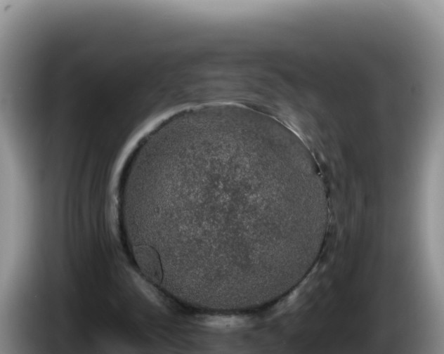 X0000086260342200704051307