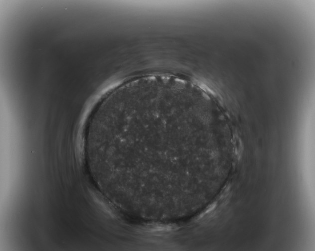 X0000086260343200704051307