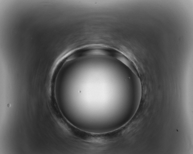 X0000086260344200704051307