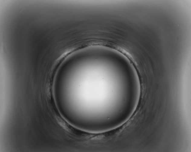 X0000086260345200704051307