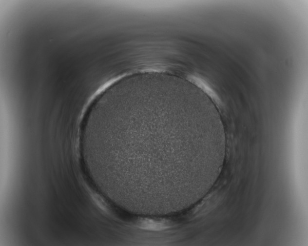 X0000086260346200704051307