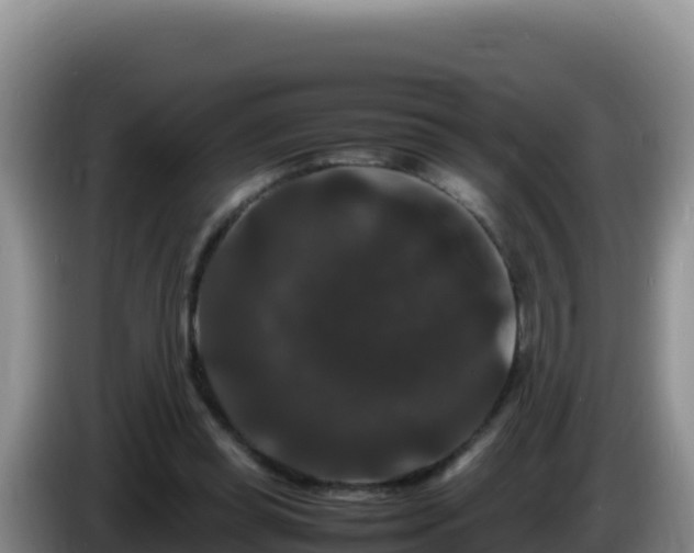 X0000086260349200704051307