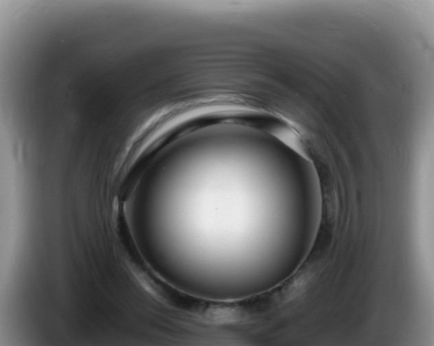 X0000086260350200704051307