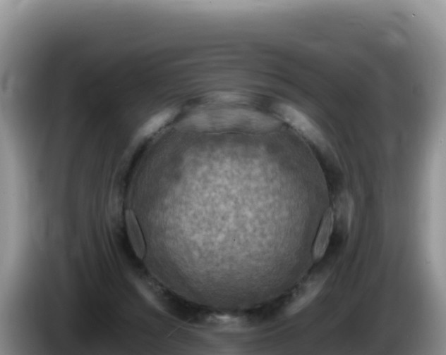 X0000086260352200704051307
