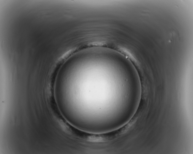 X0000086260354200704051307