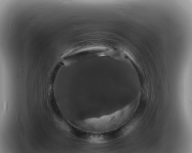 X0000086260355200704051307