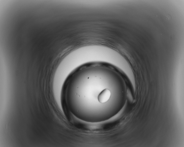 X0000086260356200704051307