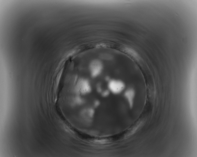 X0000086260357200704051307