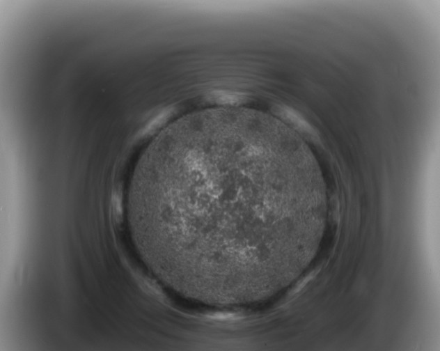 X0000086260358200704051307