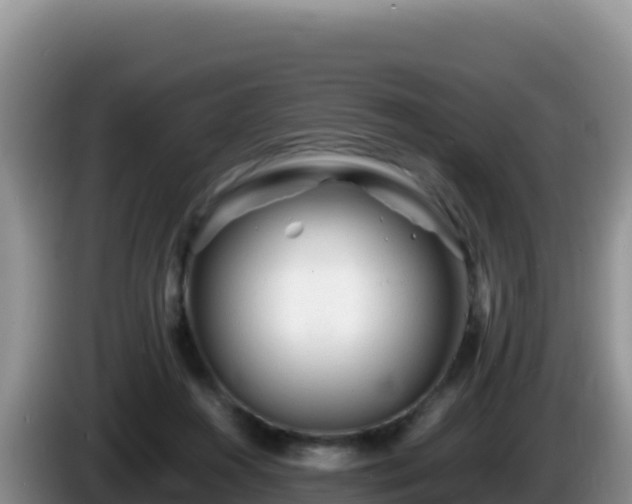X0000086260360200704051307
