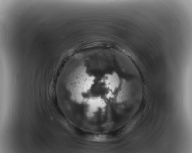 X0000086260361200704051307