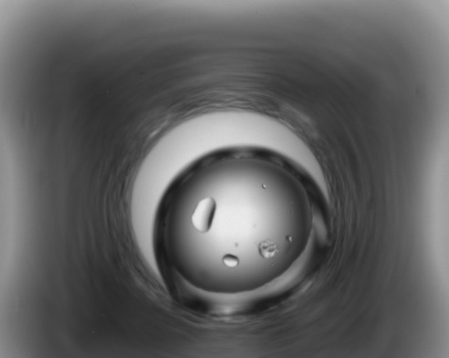 X0000086260364200704051307
