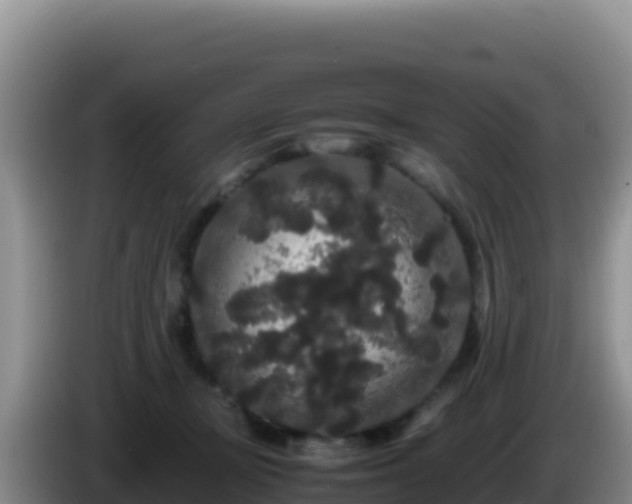 X0000086260367200704051307