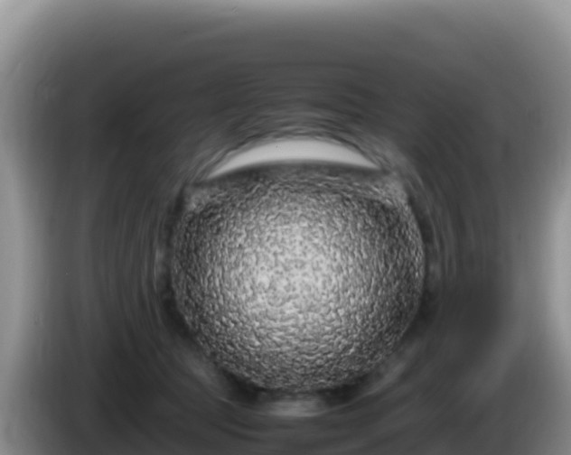 X0000086260369200704051307