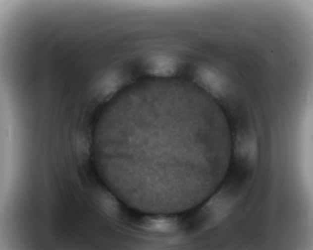 X0000086260370200704051307