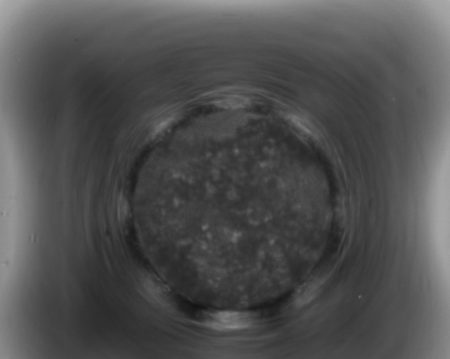 X0000086260371200704051307
