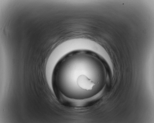 X0000086260372200704051307