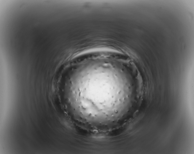 X0000086260373200704051307