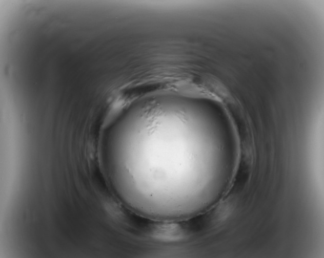 X0000086260374200704051307