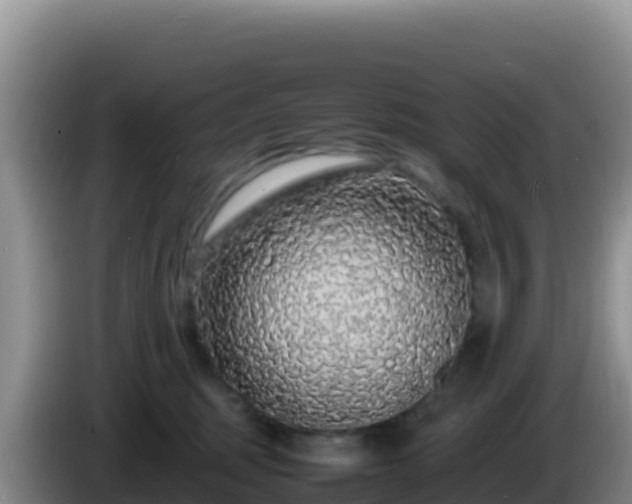 X0000086260375200704051308