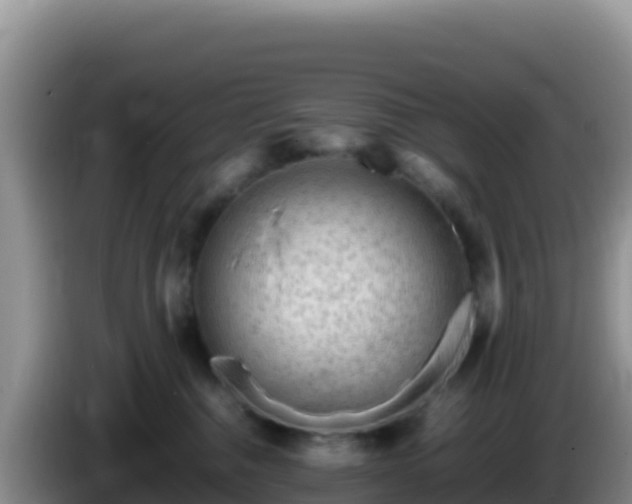 X0000086260376200704051308