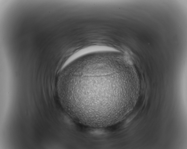 X0000086260377200704051308