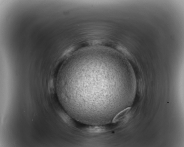 X0000086260378200704051308