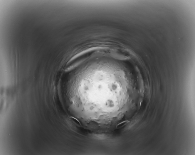 X0000086260381200704051308