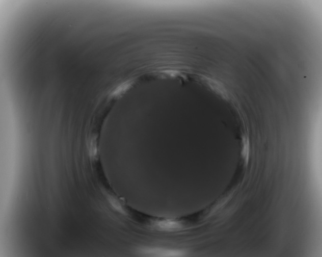 X0000086260383200704051308