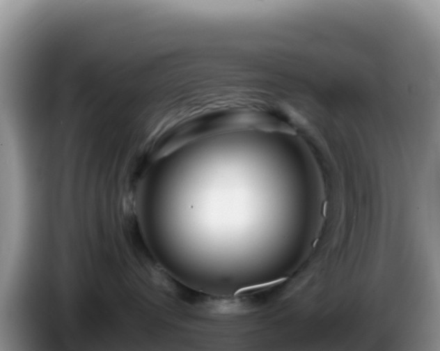 X0000086260384200704051308