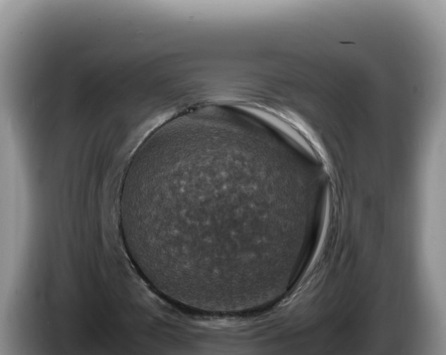 X0000086260385200704051307