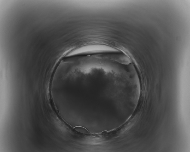 X0000086260386200704051307