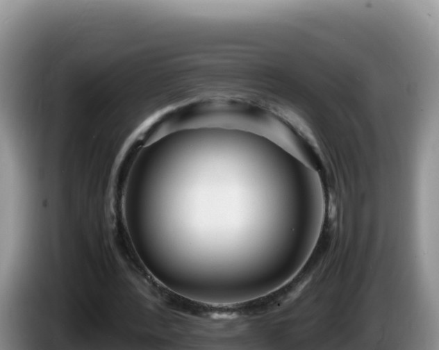 X0000086260388200704051307
