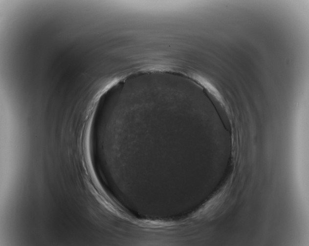 X0000086260389200704051307