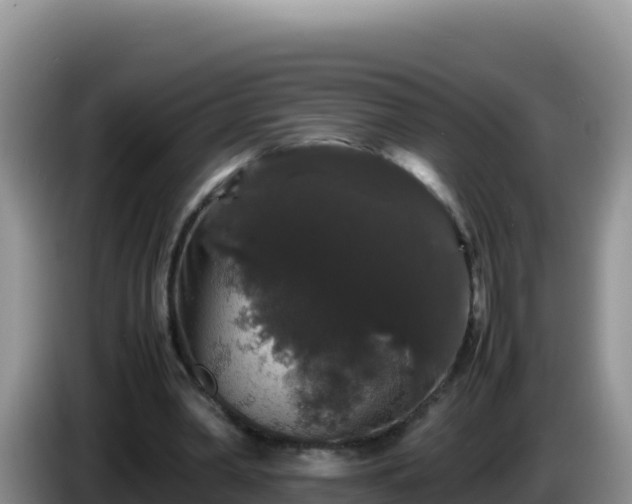 X0000086260390200704051307