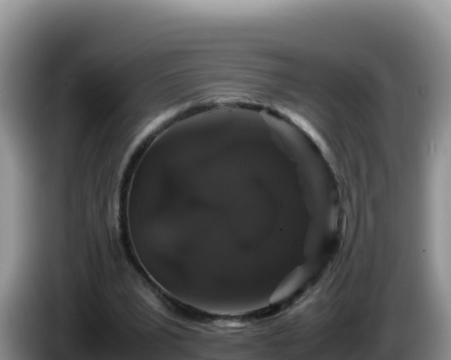 X0000086260391200704051307