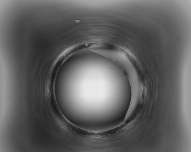 X0000086260392200704051307