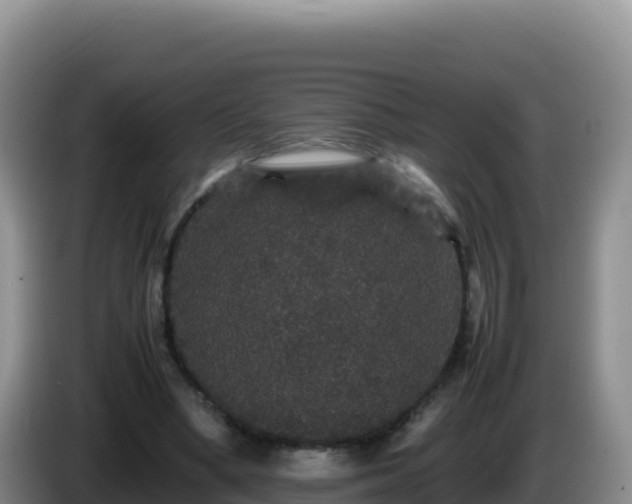 X0000086260394200704051307