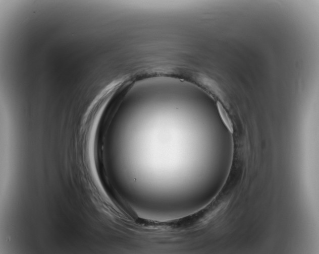 X0000086260395200704051307