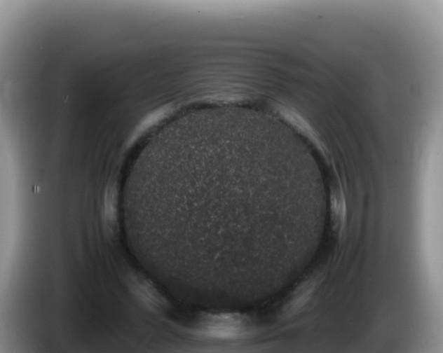 X0000086260396200704051307