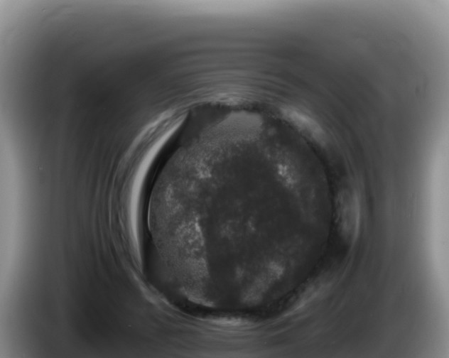 X0000086260400200704051307