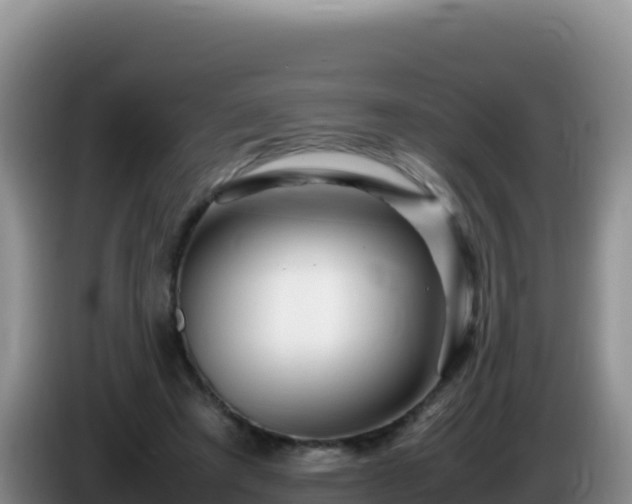 X0000086260401200704051307