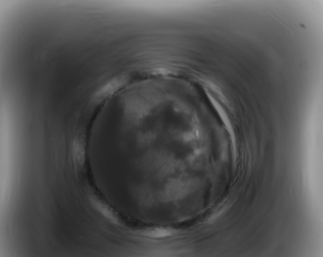 X0000086260402200704051307