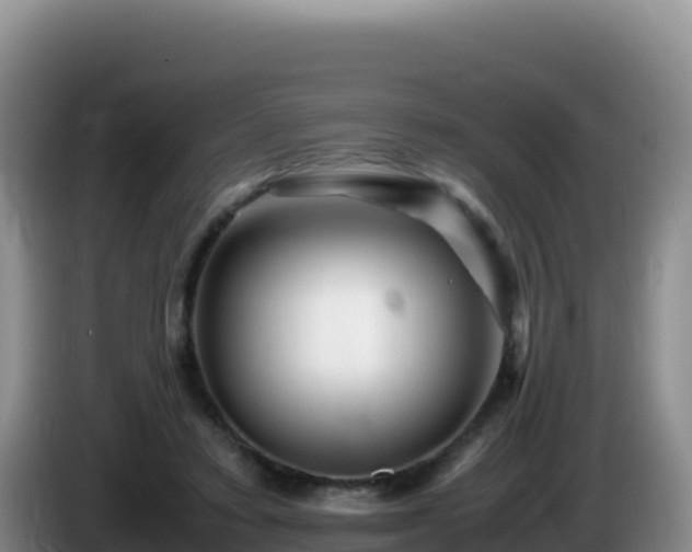 X0000086260403200704051307