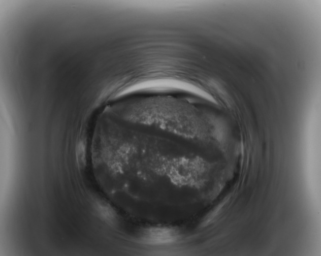 X0000086260404200704051307