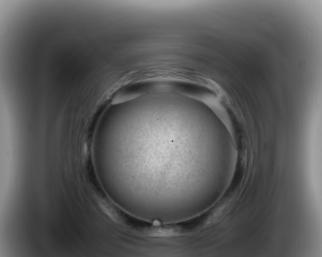 X0000086260405200704051307